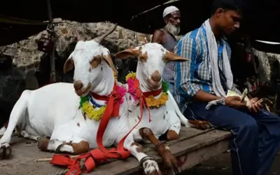 Eidul Adha 2024 likely to fall on this date