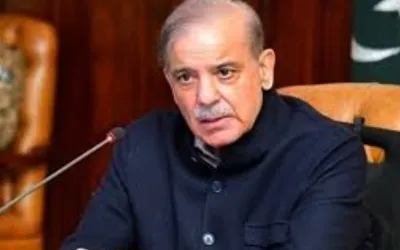 PM Shehbaz urges auto industry to start local manufacturing