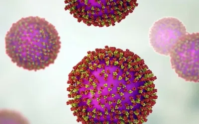 US investigating rise in cyclosporiasis cases across 17 states