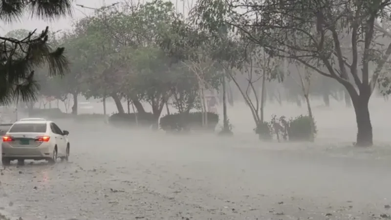Rain and thunderstorms forecast for northern, central parts of country: PMD