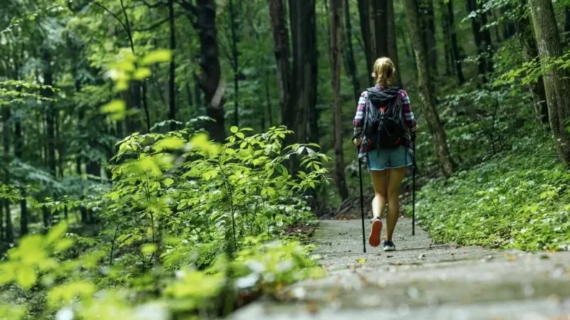 How 20 minutes of nature can boost your health
