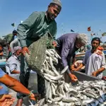 Pakistan’s seafood exports hit record $568 million in FY26