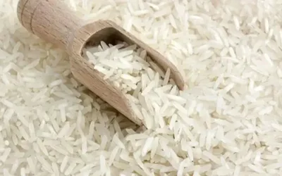 Rice exports decline by 68.52% during July to December: exporters