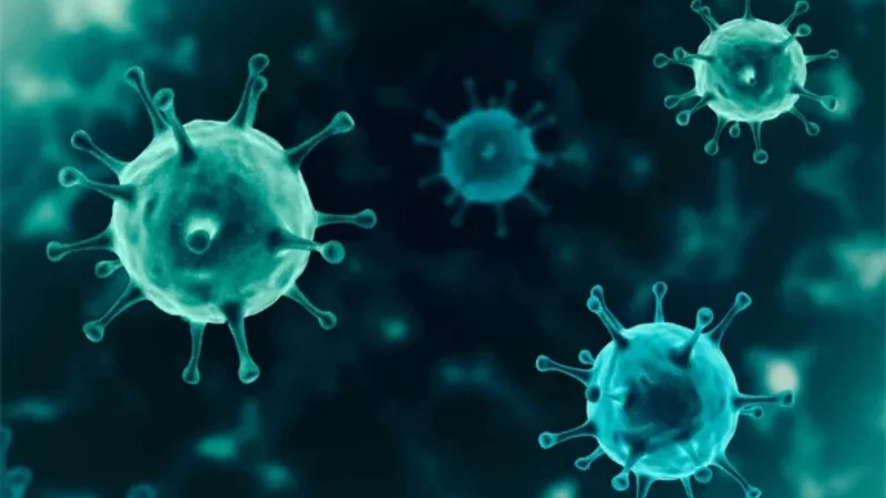 New nanomaterial