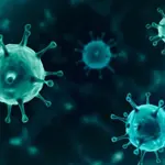 New nanomaterial could revolutionize cancer therapy, study finds