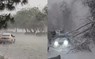 PMD issues fresh weather advisory amid prolonged cold conditions