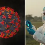 Nipah Virus: Returns to regional spotlight after fresh cases in India