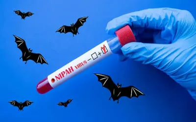 What is Nipah virus and how does it spread?