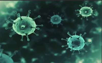 Experts warn of two emerging viruses