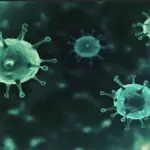 Experts warn of two emerging viruses