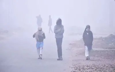 Sindh government revises school timings due to cold weather