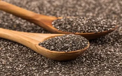 Chia Seeds: Supporting brain health and appetite control