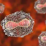 Next pandemic could be triggered at any moment: Experts warn