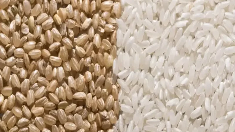 Brown or white rice: Here's which is healthier for you