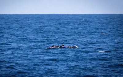 53 dead after boat capsizes off Libya