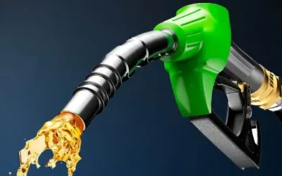 Govt increases petrol, diesel prices for next fortnight