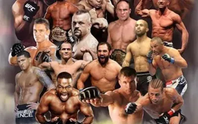 UFC fighters train federal agents in special session