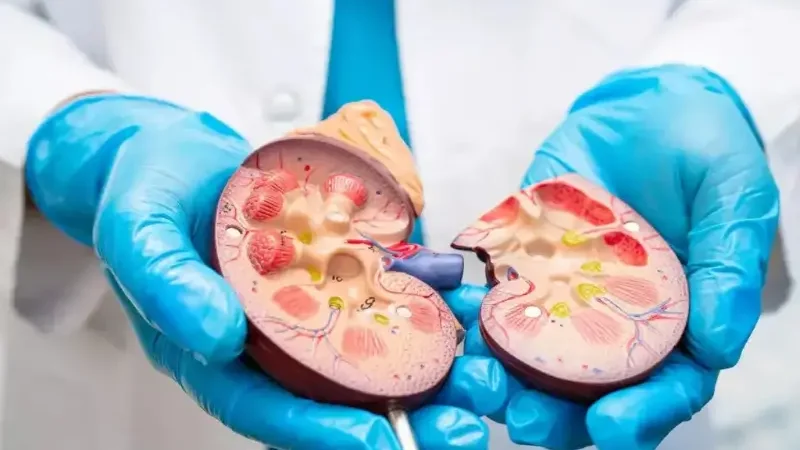 Early symptoms of kidney disease you should know