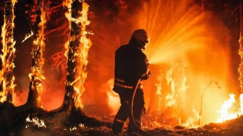 Japan-wildfires