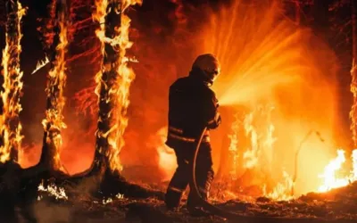 Japan wildfires: Hundreds of firefighters in action