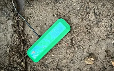 Scientists turn soil bacteria into electricity source