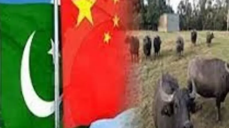 China-Pakistan