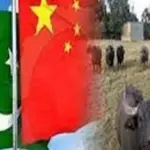 China shows interest in Pakistani buffalo genetics in bilateral talks