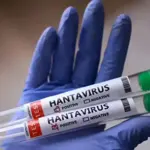 Eight passengers tested positive for hantavirus: WHO