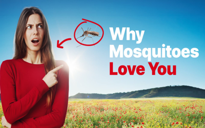 Why do mosquitoes love some people more?