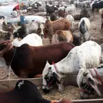 Karachi’s ‘Awaam Dost Mandi’ witnesses massive buyer influx