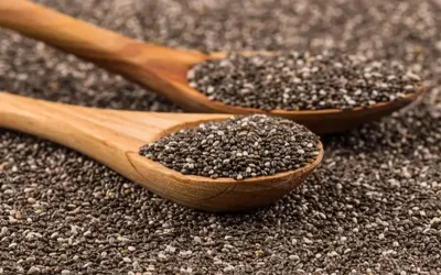 10 health benefits of chia seeds