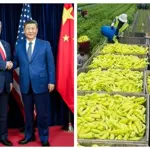 US, China sign $17 billion agriculture agreement at Beijing summit