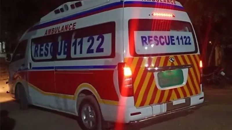 Brother allegedly kills sister