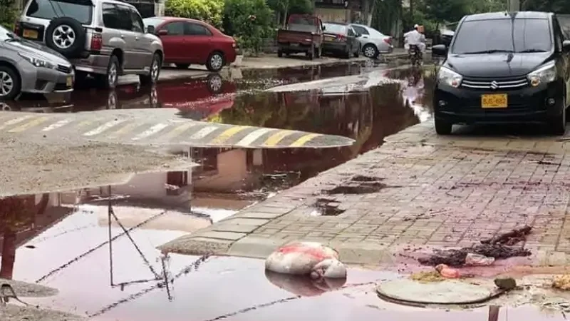 Karachi cleanup operation continues after Eid-ul-Adha