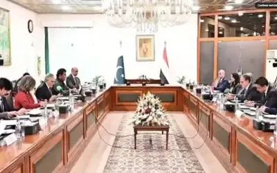 Egyptian Foreign Minister visits Pakistan, discusses defence and security cooperation
