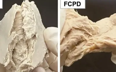 China's lab-grown fungus replaces chicken with meat-like protein