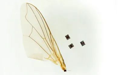 Researchers unveil microrobot that can sense, think, and act on its own