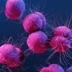 FDA approves first new antibiotics to treat gonorrhea