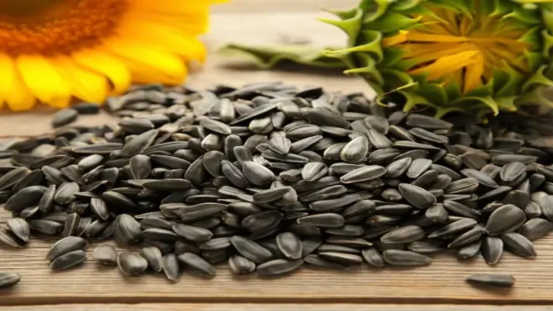Health benefits of sunflower seeds