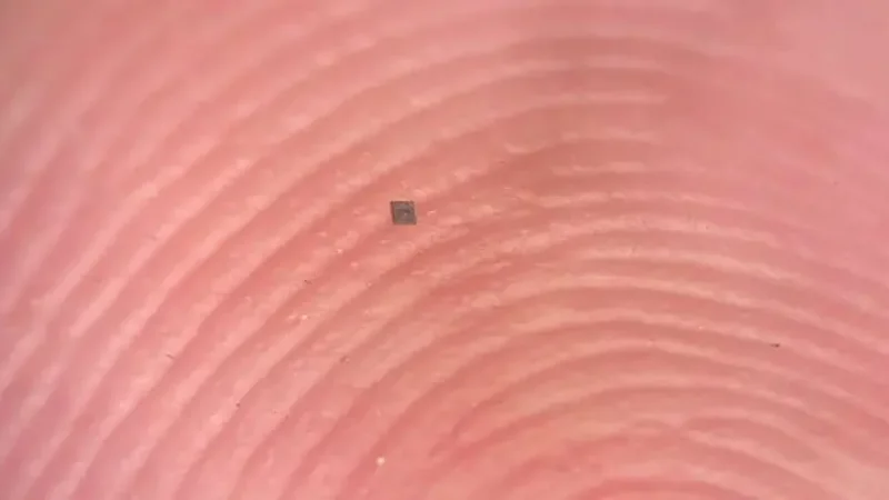 Researchers create world’s smallest autonomous programmable robot