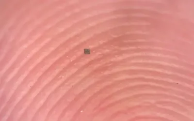Researchers create world’s smallest autonomous programmable robot