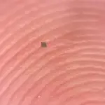 Researchers create world’s smallest autonomous programmable robot