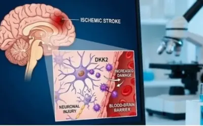 Scientists expose brain-destroying protein