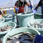 China reimposes ban on Japanese seafood imports amid diplomatic tensions over Taiwan remarks