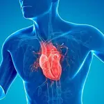 Experts reveal superfoods for healthy heart