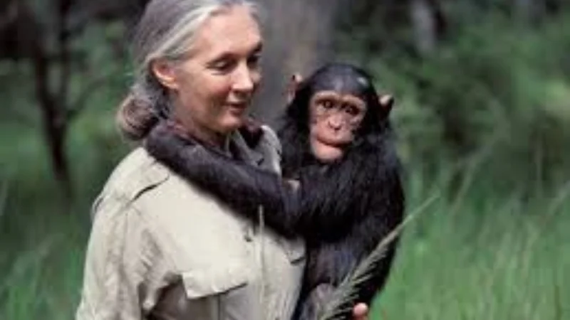 Legendary Jane Goodall