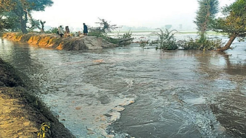 Rahim Yar Khan hit by severe flooding as Indus River riverbank wall collapses