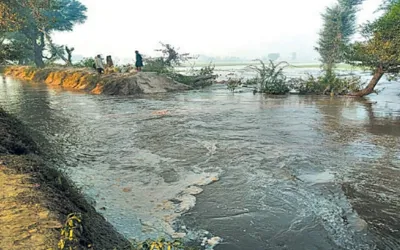 Rahim Yar Khan hit by severe flooding as Indus River riverbank wall collapses