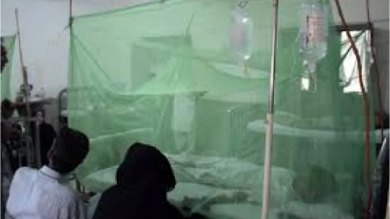 Dengue cases in Rawalpindi