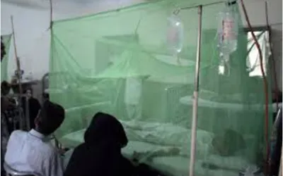 Dengue cases in Rawalpindi reach 374 as health department steps up action